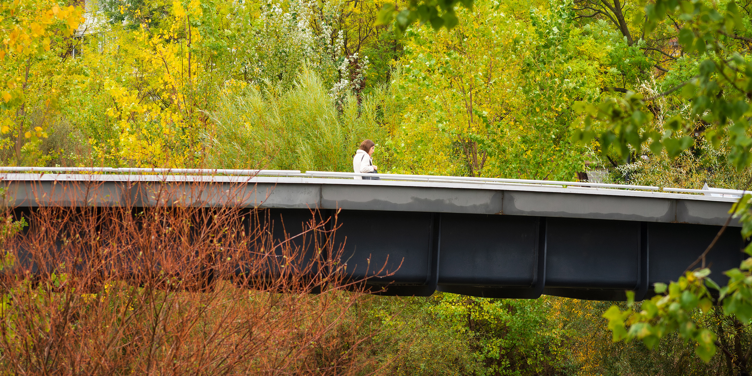 portada web_10853.jpg